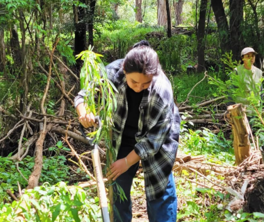 {{brizy_dc_image_alt imageSrc=